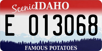 ID license plate E013068