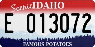 ID license plate E013072
