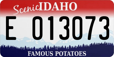 ID license plate E013073