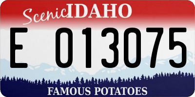 ID license plate E013075
