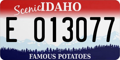 ID license plate E013077