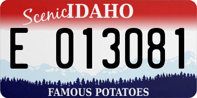 ID license plate E013081