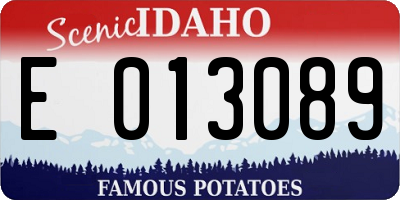 ID license plate E013089