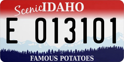 ID license plate E013101