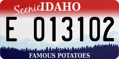 ID license plate E013102