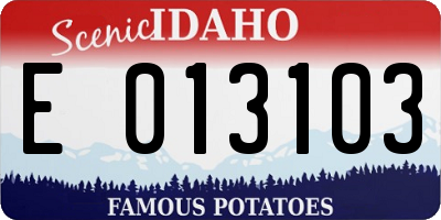 ID license plate E013103