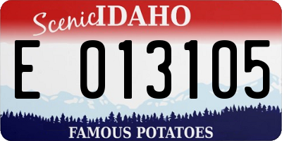ID license plate E013105