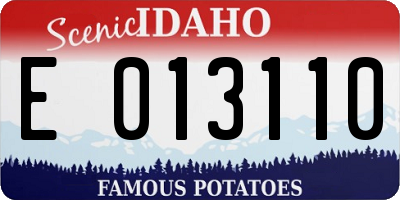 ID license plate E013110