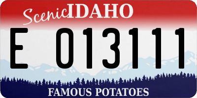 ID license plate E013111