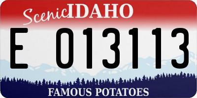 ID license plate E013113