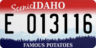 ID license plate E013116