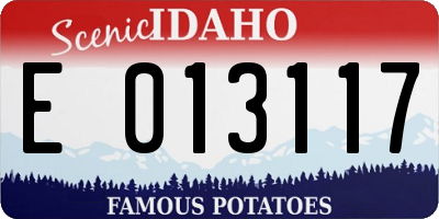 ID license plate E013117