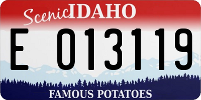 ID license plate E013119
