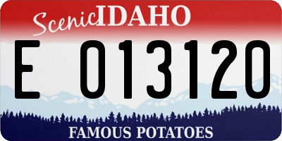 ID license plate E013120