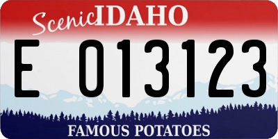 ID license plate E013123