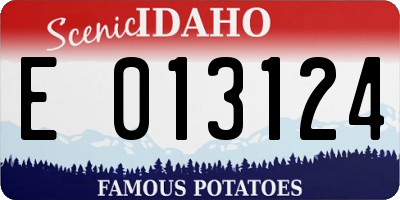 ID license plate E013124