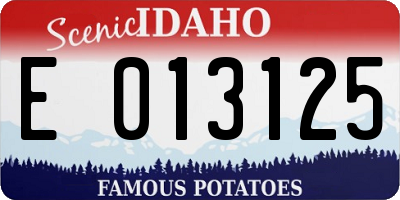 ID license plate E013125