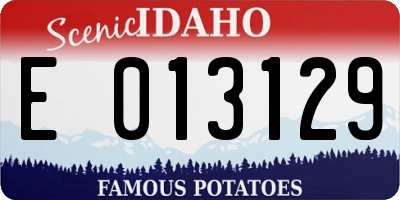 ID license plate E013129