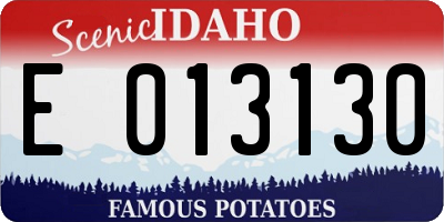ID license plate E013130