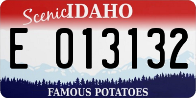 ID license plate E013132