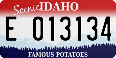 ID license plate E013134