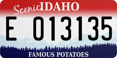 ID license plate E013135