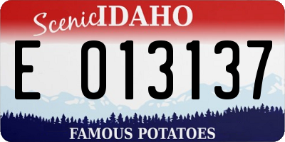 ID license plate E013137
