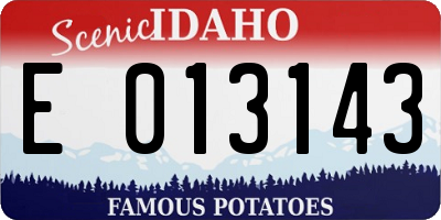 ID license plate E013143