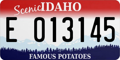 ID license plate E013145