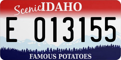 ID license plate E013155