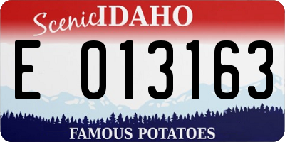 ID license plate E013163