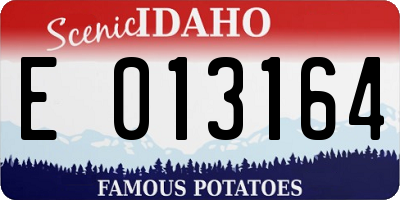 ID license plate E013164