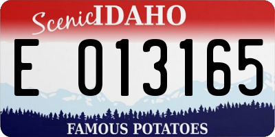 ID license plate E013165