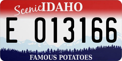 ID license plate E013166