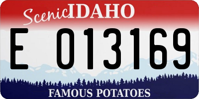 ID license plate E013169