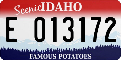 ID license plate E013172