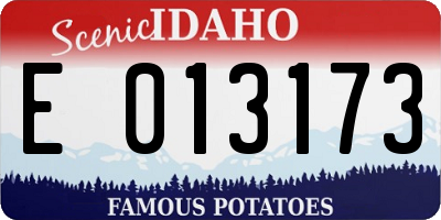 ID license plate E013173