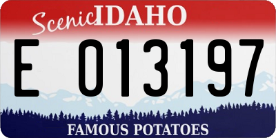 ID license plate E013197