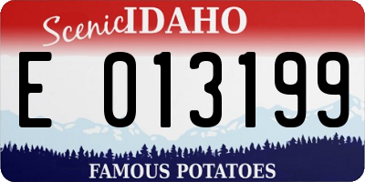 ID license plate E013199