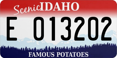 ID license plate E013202