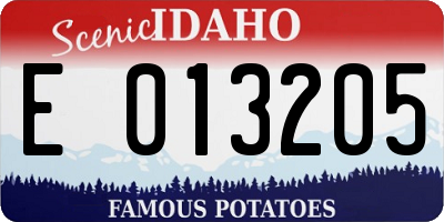 ID license plate E013205