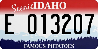 ID license plate E013207