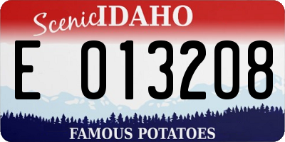 ID license plate E013208