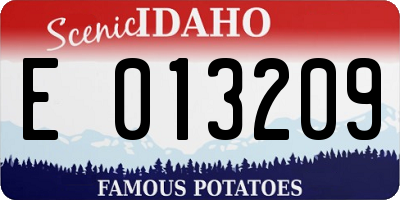 ID license plate E013209