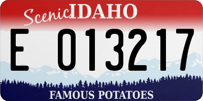 ID license plate E013217