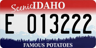 ID license plate E013222