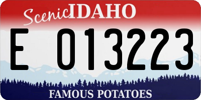 ID license plate E013223