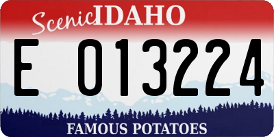 ID license plate E013224