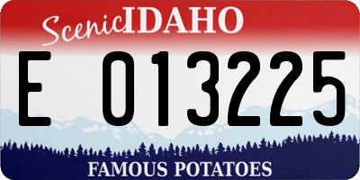 ID license plate E013225