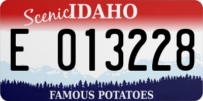 ID license plate E013228